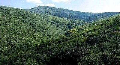 135075_20251226103818_20251226103818.jpg - NewsFactor