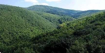 135075_20251226103818_20251226103818.jpg - NewsFactor