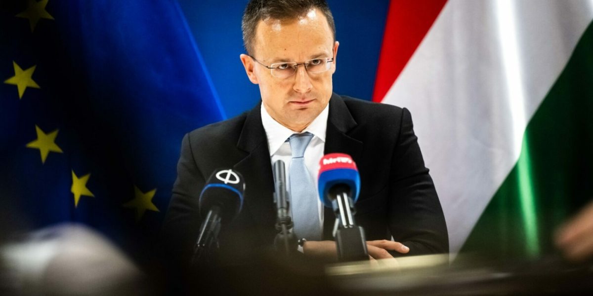 315549398_663725255220771_3153133882445711919_n-e1669297973465.jpg - NewsFactor