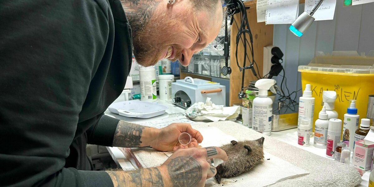 39494842.jpeg - NewsFactor