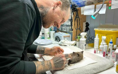 39494842.jpeg - NewsFactor