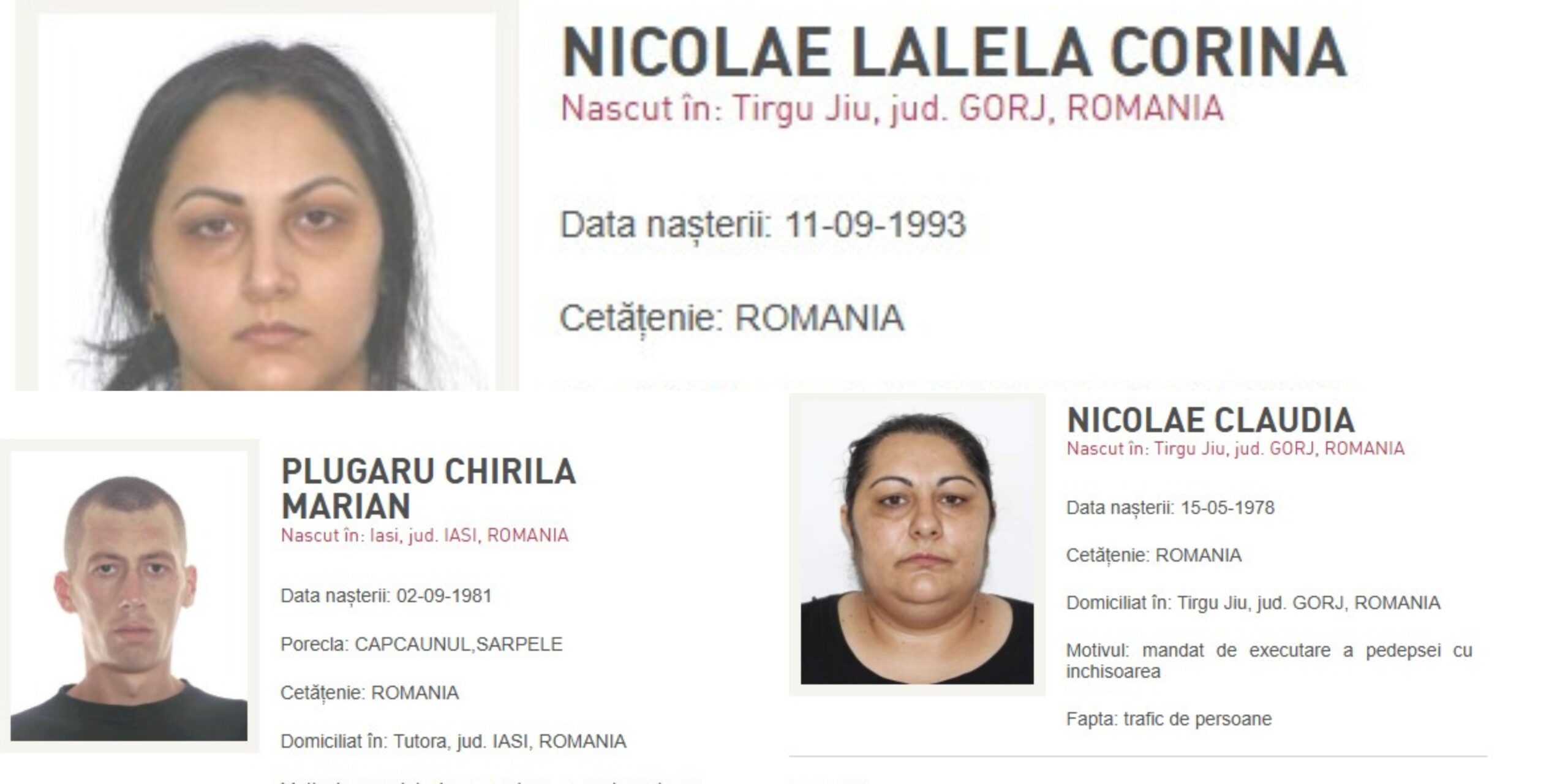 Poliția Română a anunțat că a adus în țară, în perioada 29–30 decembrie 2025, șapte persoane urmărite internațional, pe numele cărora erau emise mandate de executare a unor pedepse privative de libertate sau mandate de arestare preventivă