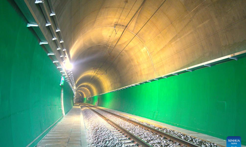 IX4V4kFG8GaI9sSD.jpeg - NewsFactor