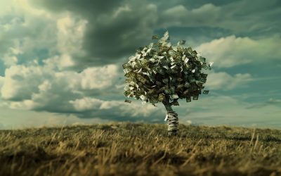 bani-teren-de-vanzare.jpg - NewsFactor