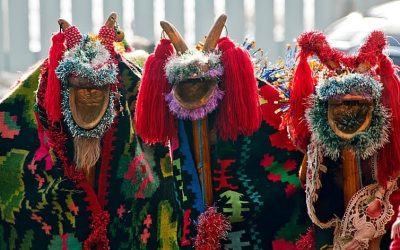 capraobicei.jpeg - NewsFactor