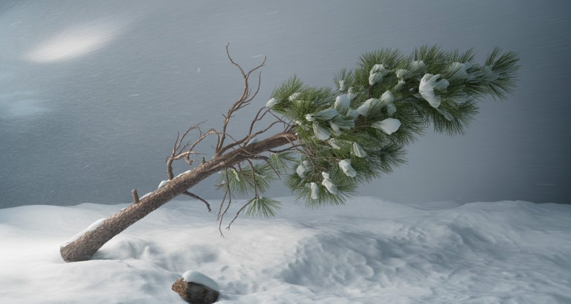 idojaras-ciklon-szel-vihar-hungaromet-magyarorszag-norvegia-meteorologia-ho-szelvihar-797120.jpg - NewsFactor