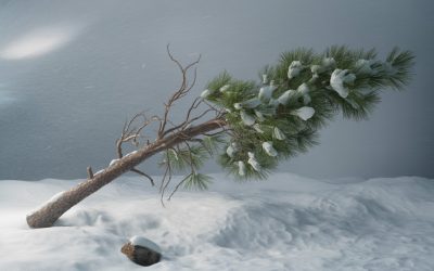 idojaras-ciklon-szel-vihar-hungaromet-magyarorszag-norvegia-meteorologia-ho-szelvihar-797120.jpg - NewsFactor