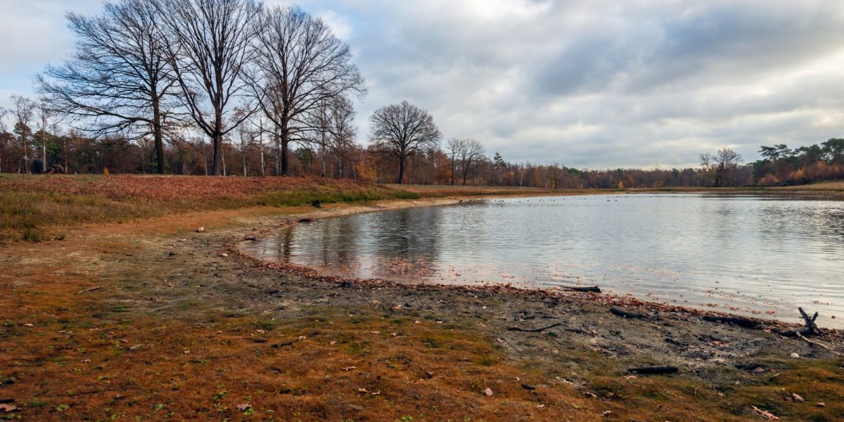 lac-secat.jpeg - NewsFactor