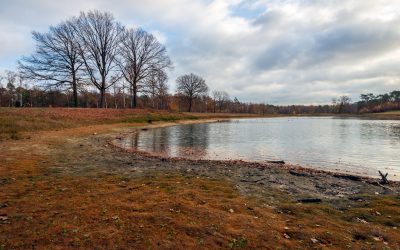 lac-secat.jpeg - NewsFactor