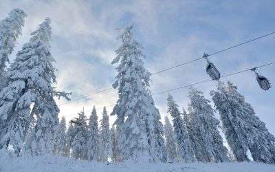 poiana-brasov.jpg - NewsFactor