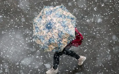 1767374602-2635-large.webp.webp - NewsFactor