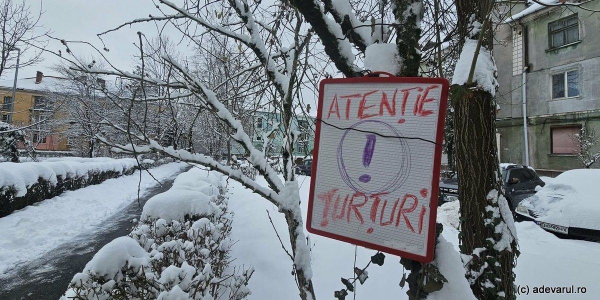 1768482618_index.jpeg - NewsFactor