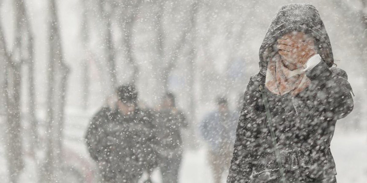 1769493682_index.jpeg - NewsFactor