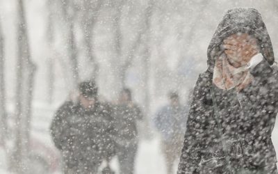 1769493682_index.jpeg - NewsFactor