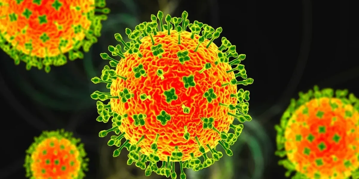 1769500960760_virus-nipah1-1769474634.webp.webp - NewsFactor