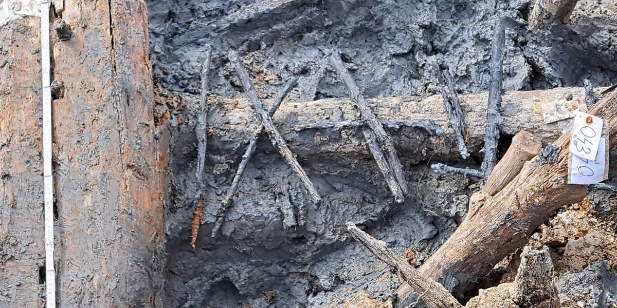 460553236_1033796222088564_3072463959415696088_n.jpg - NewsFactor