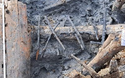 460553236_1033796222088564_3072463959415696088_n.jpg - NewsFactor