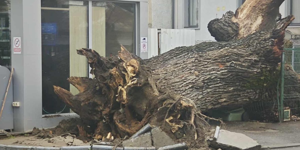 612366909_1202680585346292_3947987245648921325_n.jpg - NewsFactor