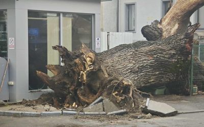 612366909_1202680585346292_3947987245648921325_n.jpg - NewsFactor