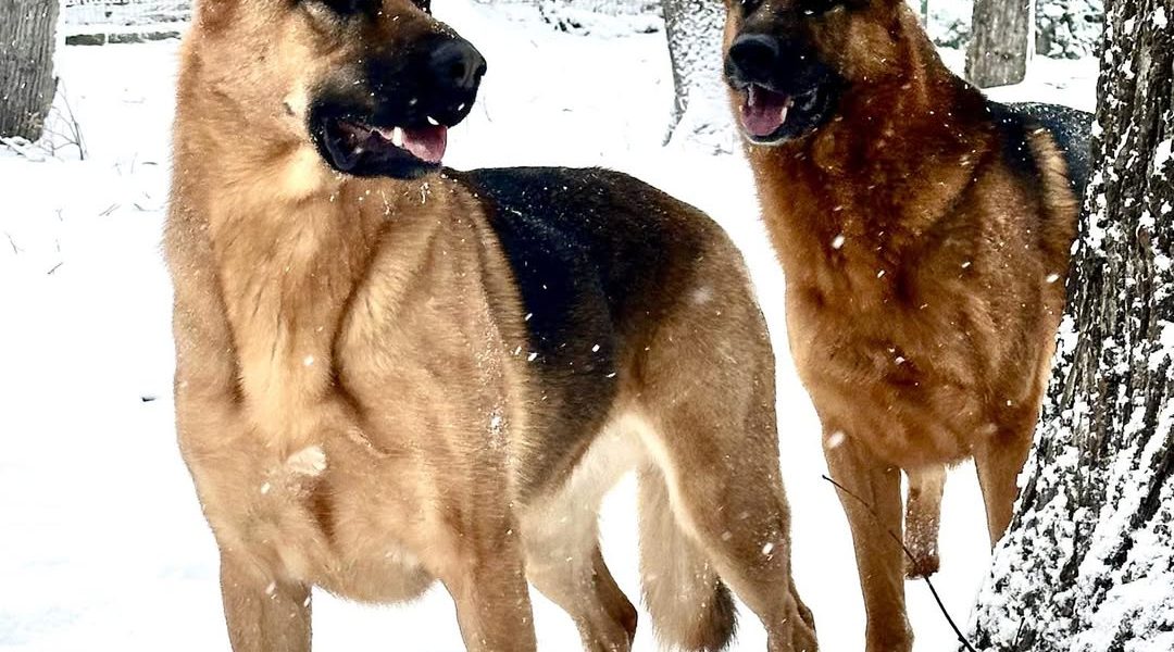 614862386_1473170691474745_5015169552524529986_n.jpg - NewsFactor