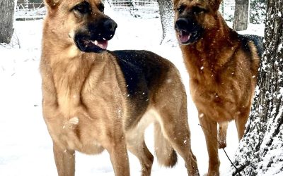 614862386_1473170691474745_5015169552524529986_n.jpg - NewsFactor