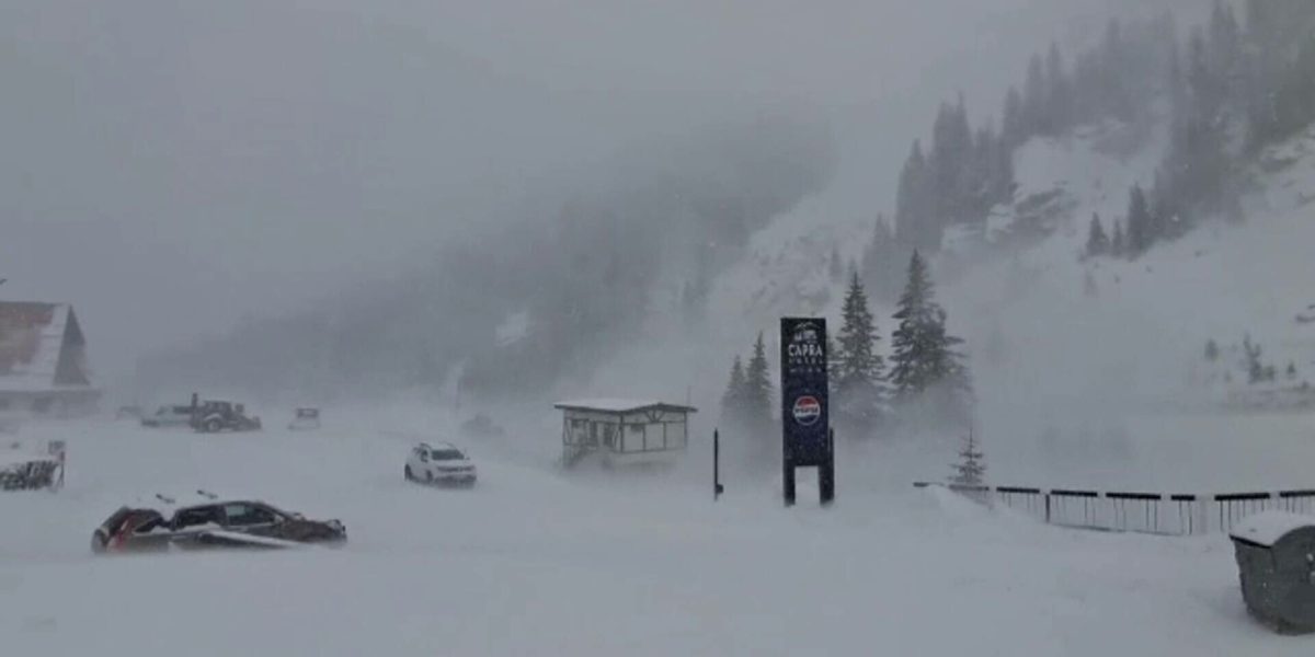 62500391.jpg - NewsFactor