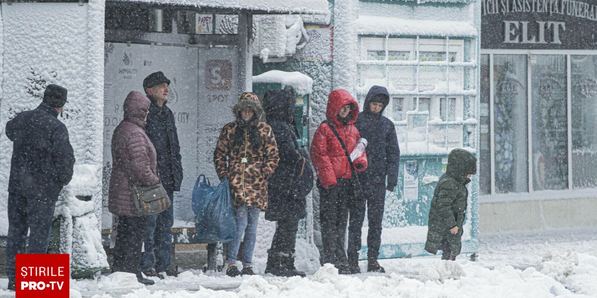 62605101-2.jpg - NewsFactor