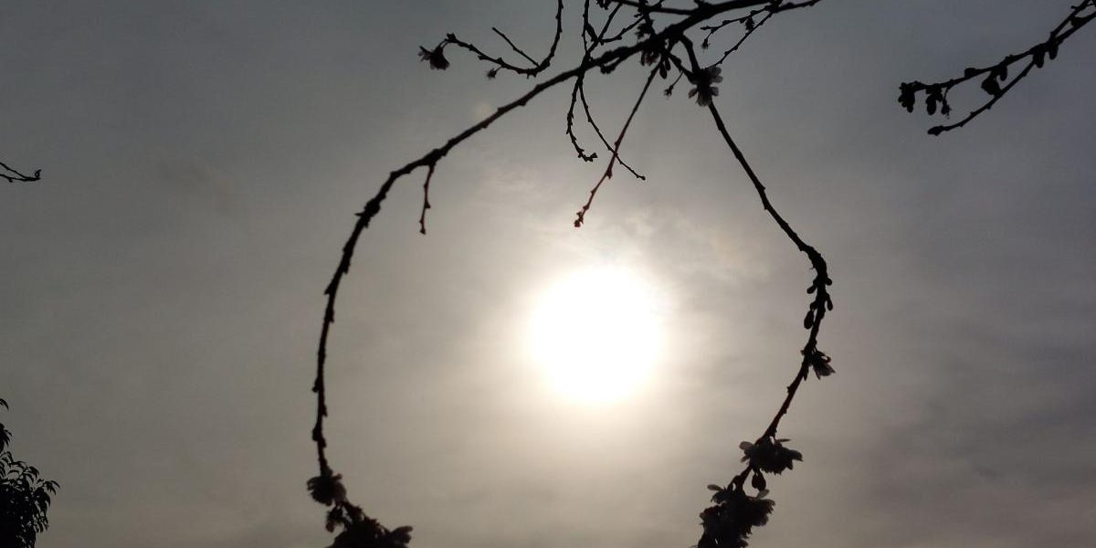 71fb0cbfa5cf6e96eac62ca6ac42ab55.jpeg - NewsFactor