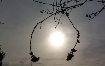 71fb0cbfa5cf6e96eac62ca6ac42ab55.jpeg - NewsFactor