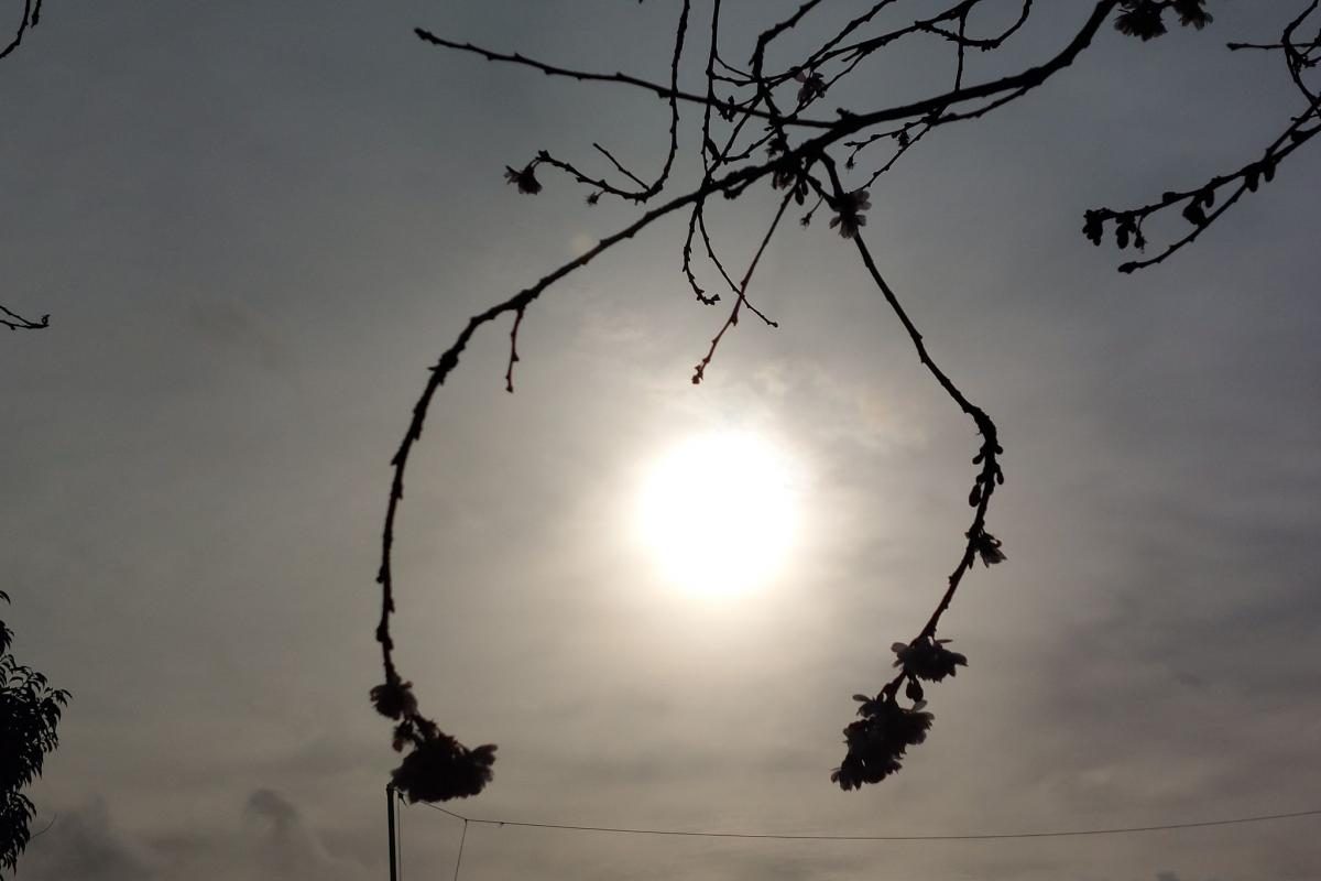 Vremea de weekend în Wharfedale: ce ne așteaptă!