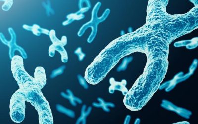 9f2a2e04a053cda7a8c096e532e43d28.jpeg - NewsFactor