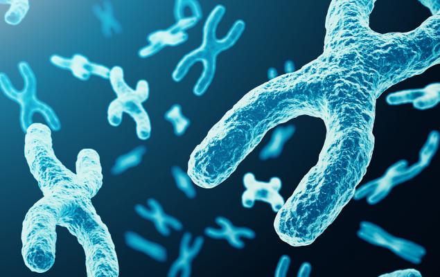 9f2a2e04a053cda7a8c096e532e43d28.jpeg - NewsFactor