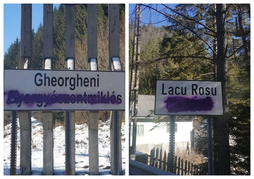 BeFunky-collage-4.jpg - NewsFactor