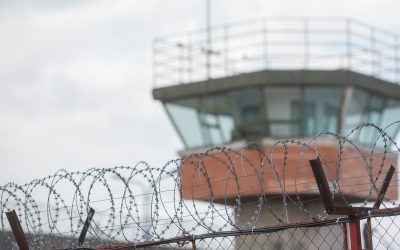 FB1A1091.jpg - NewsFactor