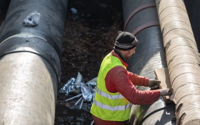 FB1A2178.jpg - NewsFactor