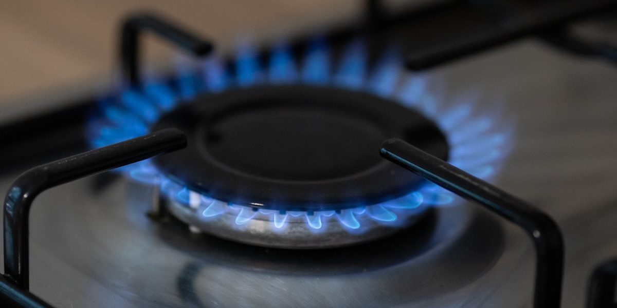 FB1A8915.jpg - NewsFactor