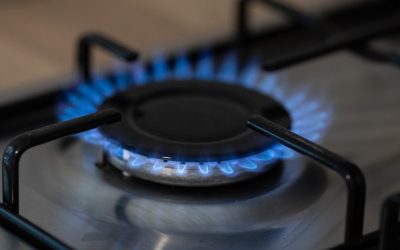 FB1A8915.jpg - NewsFactor