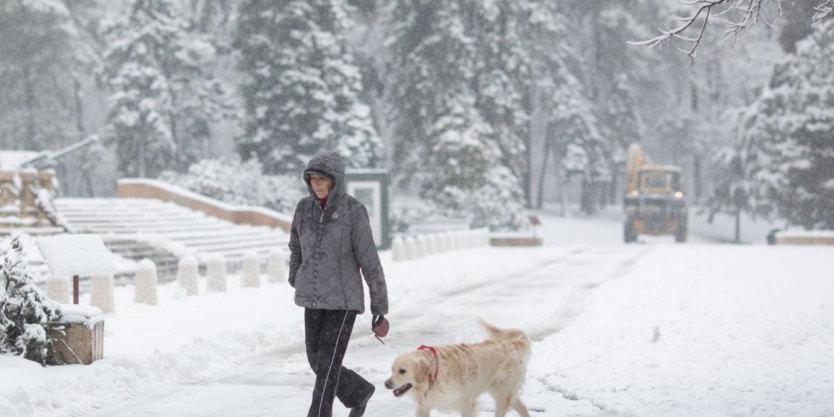 FB1A9678.jpg - NewsFactor