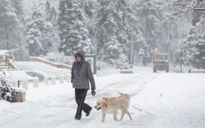 FB1A9678.jpg - NewsFactor