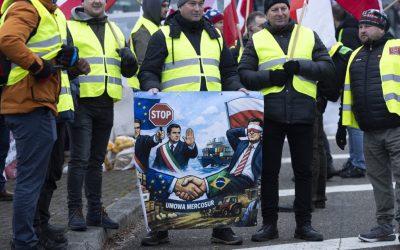 Fermierii români protestează la Strasbourg împotriva Acordului Mercosur: „Măsurile UE nu ne vor salva producția de hrană”