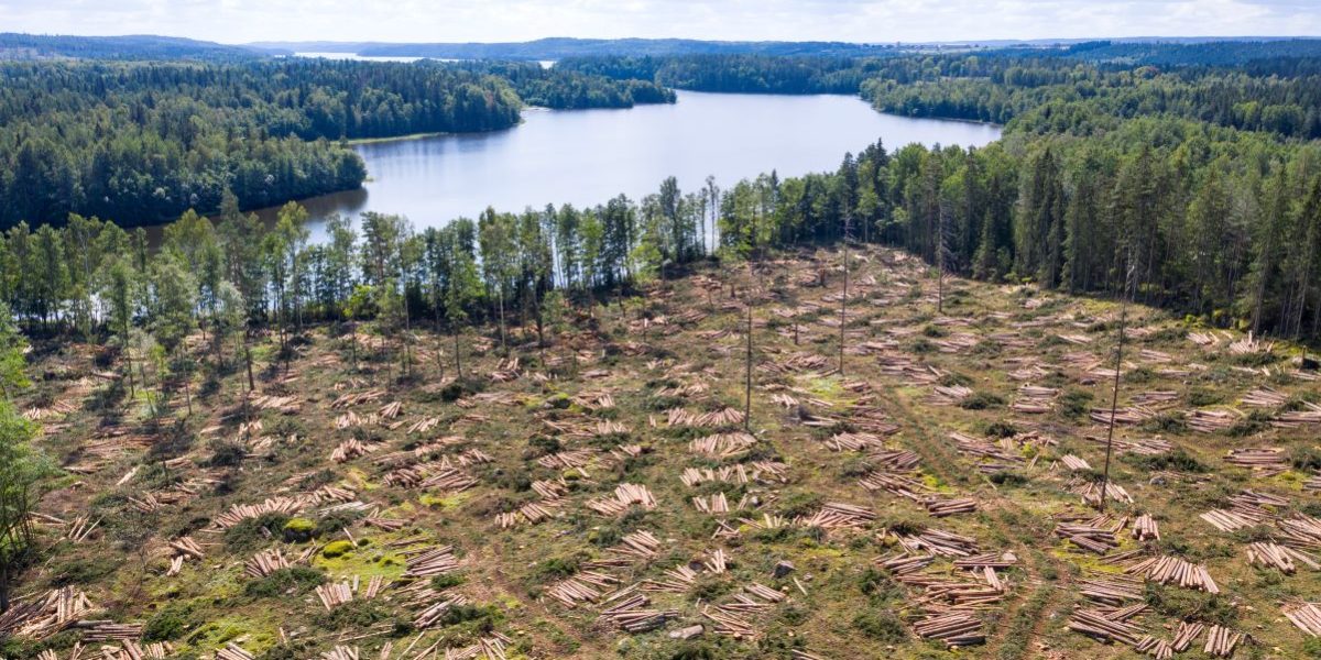 GettyImages-1336631428.jpg - NewsFactor