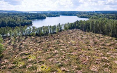 GettyImages-1336631428.jpg - NewsFactor