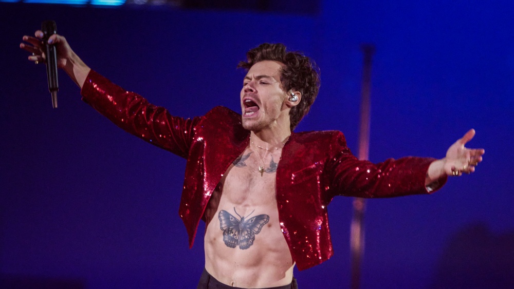 Harry-Styles.jpg - NewsFactor