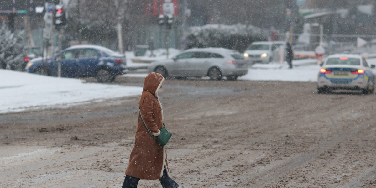 ID330593_INQUAM_Photos_George_Calin.jpg - NewsFactor