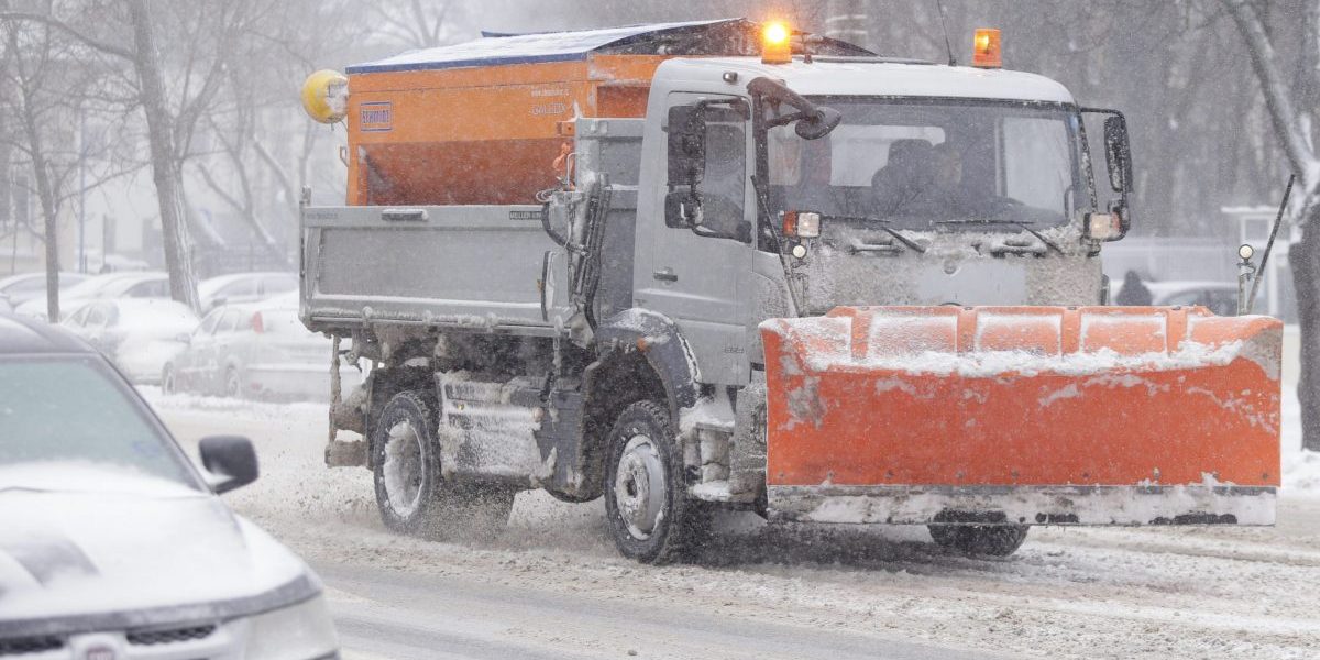 ID86171_INQUAM_Photos_George_Calin-scaled-e1610309816190.jpg - NewsFactor