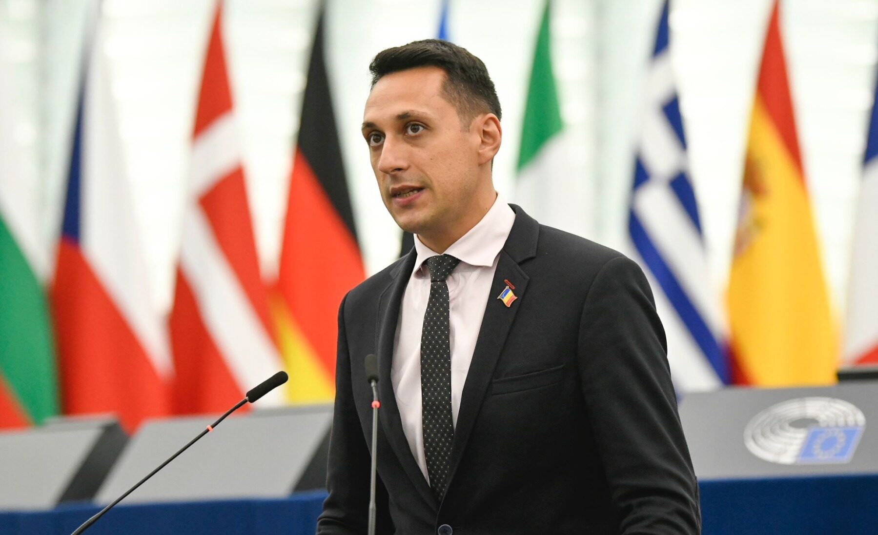 Pudelul gelat de Olt, lecții de drept