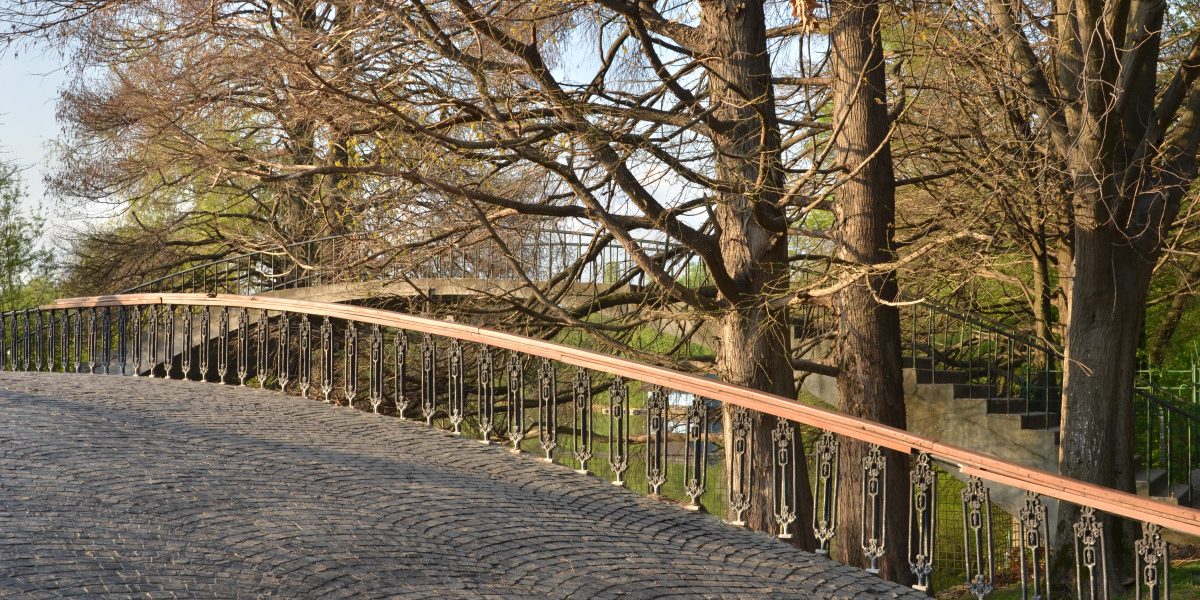 Jmhhc2g9MWQ2MWM4NmVjMDk0ZDFiNzFiNjkwMTYzMDM2MjNiYWY.thumb_.jpg - NewsFactor