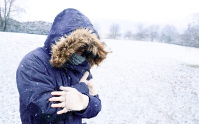 MTc0YTAzNTk0YzIwZTA3MDNmZjFiYzU2NTY0M2Vm.thumb_.jpg - NewsFactor