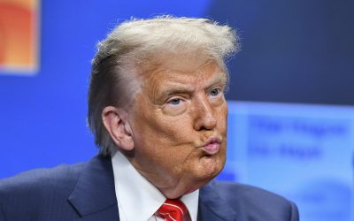 NATO_CONFERINTE_SUA_ROU_79_INQUAM_Photos_Eduard_Vinatoru.jpg - NewsFactor