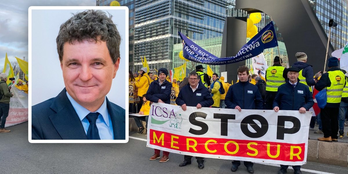 Nicusor-Dan-spune-ca-Romania-sustine-acordul-Mercosur.webp.jpeg - NewsFactor